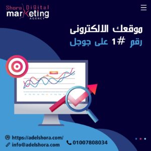 شركة سيو بالرياض